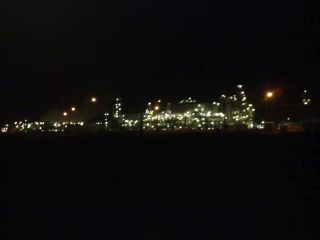 Takie obrazki były przez kilka km po wejściu do Włocławka