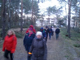 Z dobrymi humorami wchodzimy do lasu