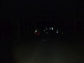 Nadal na szlaku w lesie ale już po ciemku – tuż przed V stacją