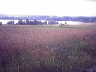 W drodze do Chmielna