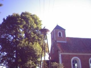 Kościół pw. św. Mikołaja w Starych Polaszkach przed mszą św. (widok na bociana)