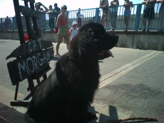 Kapitan Morgan w całej okazałości