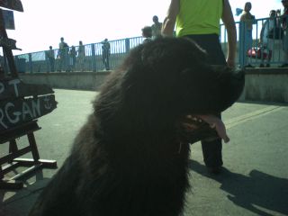 Jaka powaga bije z kapitana Morgana ;-)