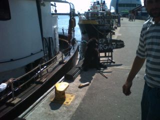 … którego pilnował kapitan Morgan :-)