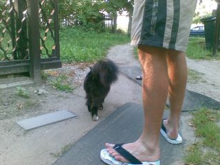 W Szymbarku na noclegu I-szy raz widziałem kota z takim ogonem