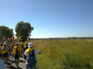 Na prawo od drzewa na horyzoncie widać wieżę Jasnej Góry