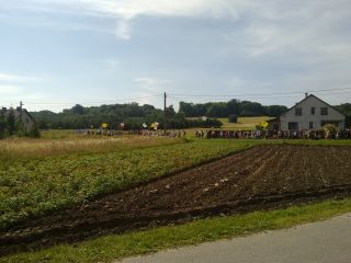 Pielgrzymka w całej okazałości