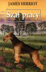 okładka książki Szał pracy